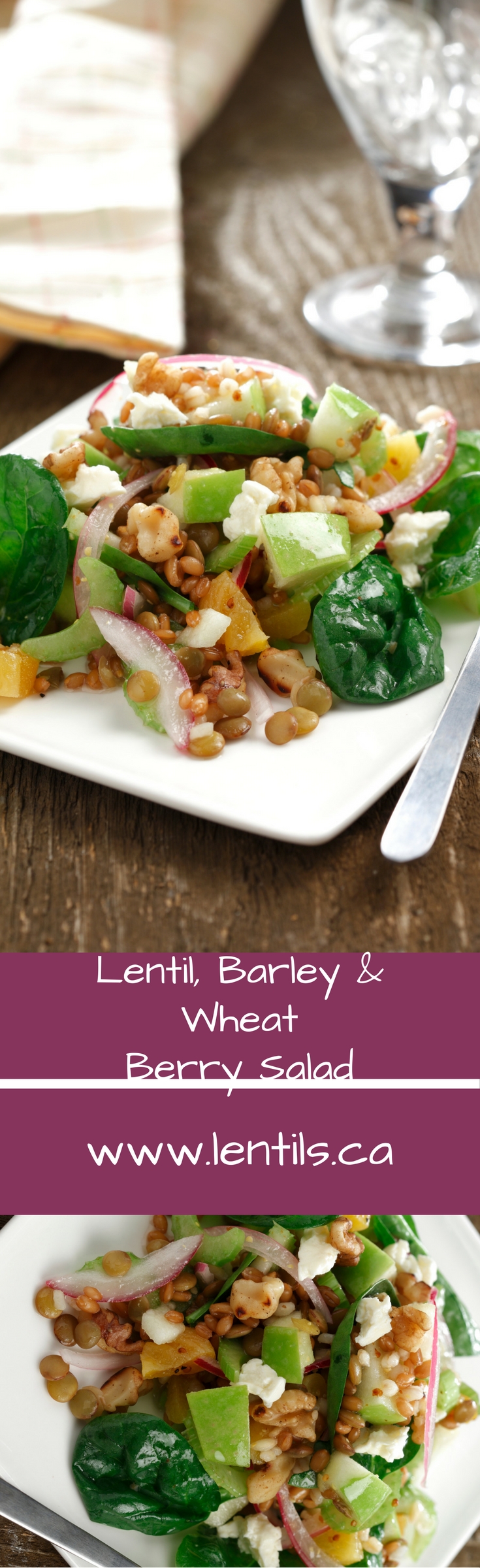 Lentil, Barley, & Wheat Berry Salad