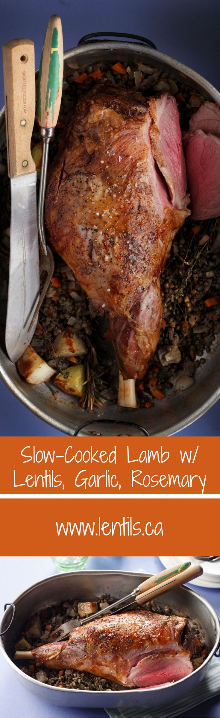 Slow-Cooked Lamb with Lentils, Garlic, & Rosemary – Lentils.org