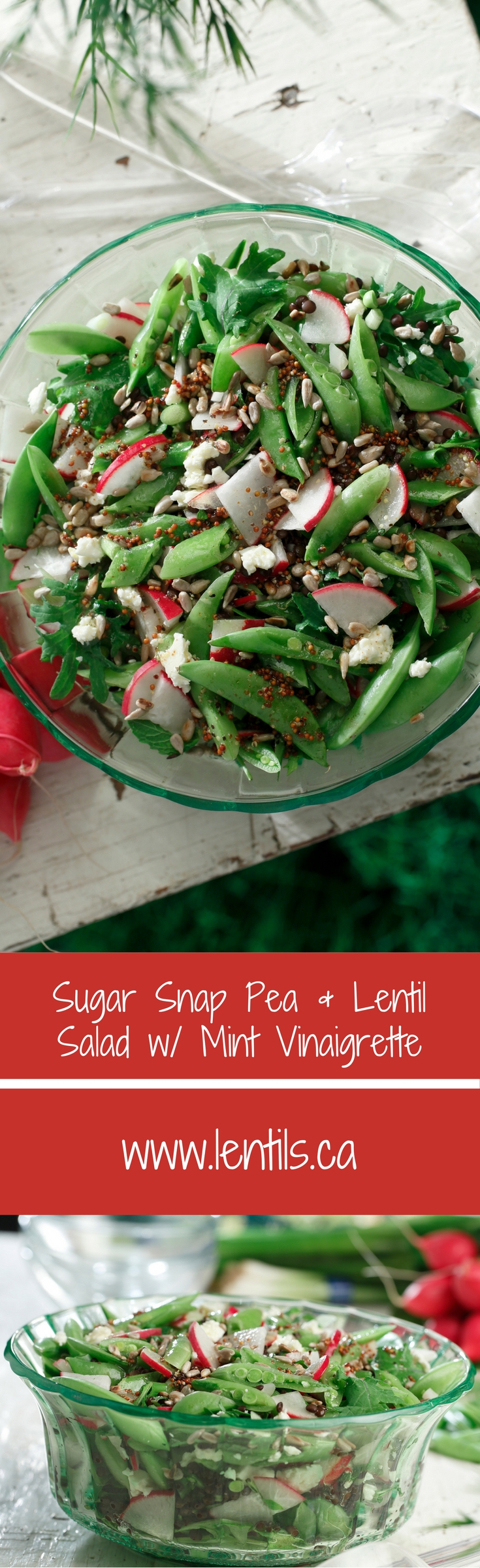 Snap Pea Salad With Mint and Tahini-Harissa Dressing Recipe