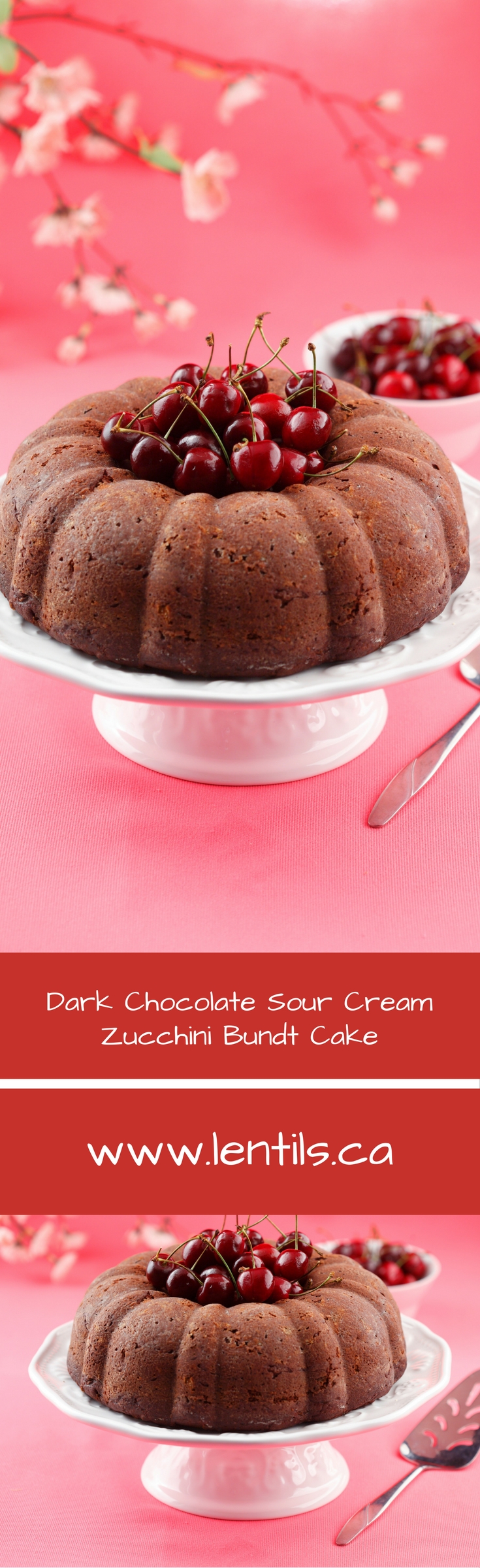 Dark Chocolate Sour Cream Zucchini Lentil Bundt Cake