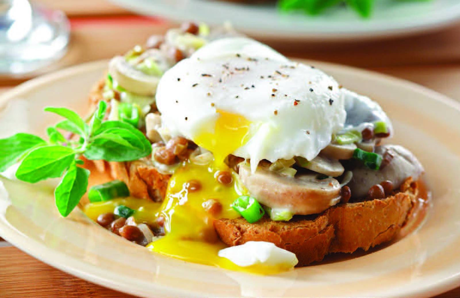 Leek & Lentil Open Faced Sandwich