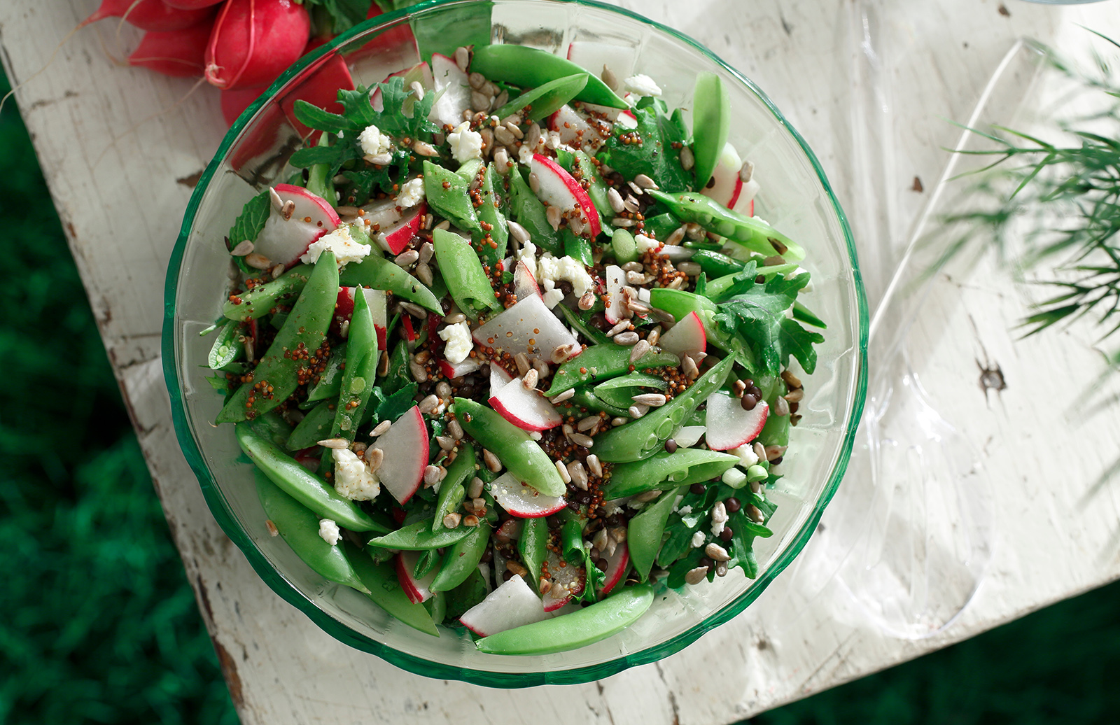 Sugar Snap Pea & Lentil Salad with Mint Vinaigrette –