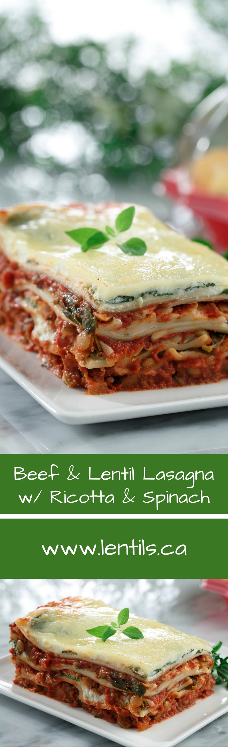 Beef and Lentil Lasagna with Ricotta and Spinach – Lentils.org