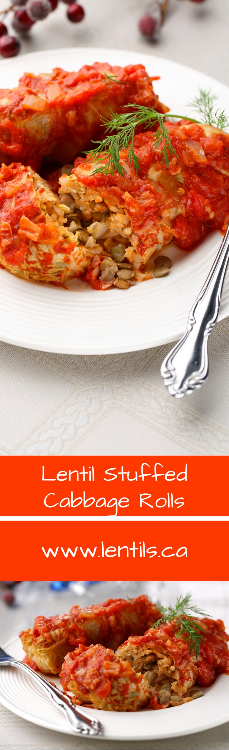 Lentil Stuffed Cabbage Rolls
