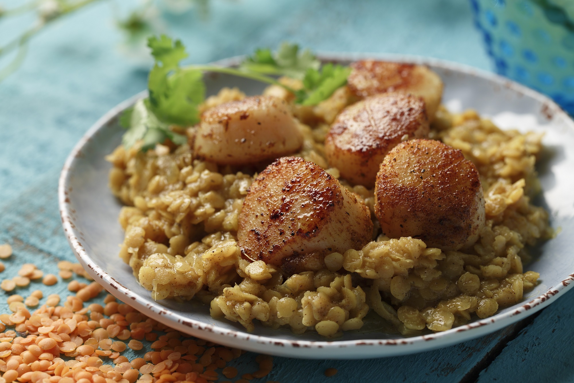 Moroccan Lentils with Scallops