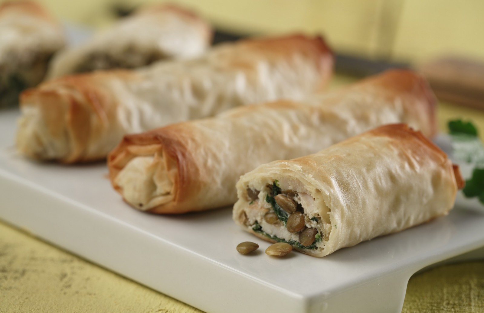 Savoury Lentil, Chicken & Ricotta Phyllo Bundles