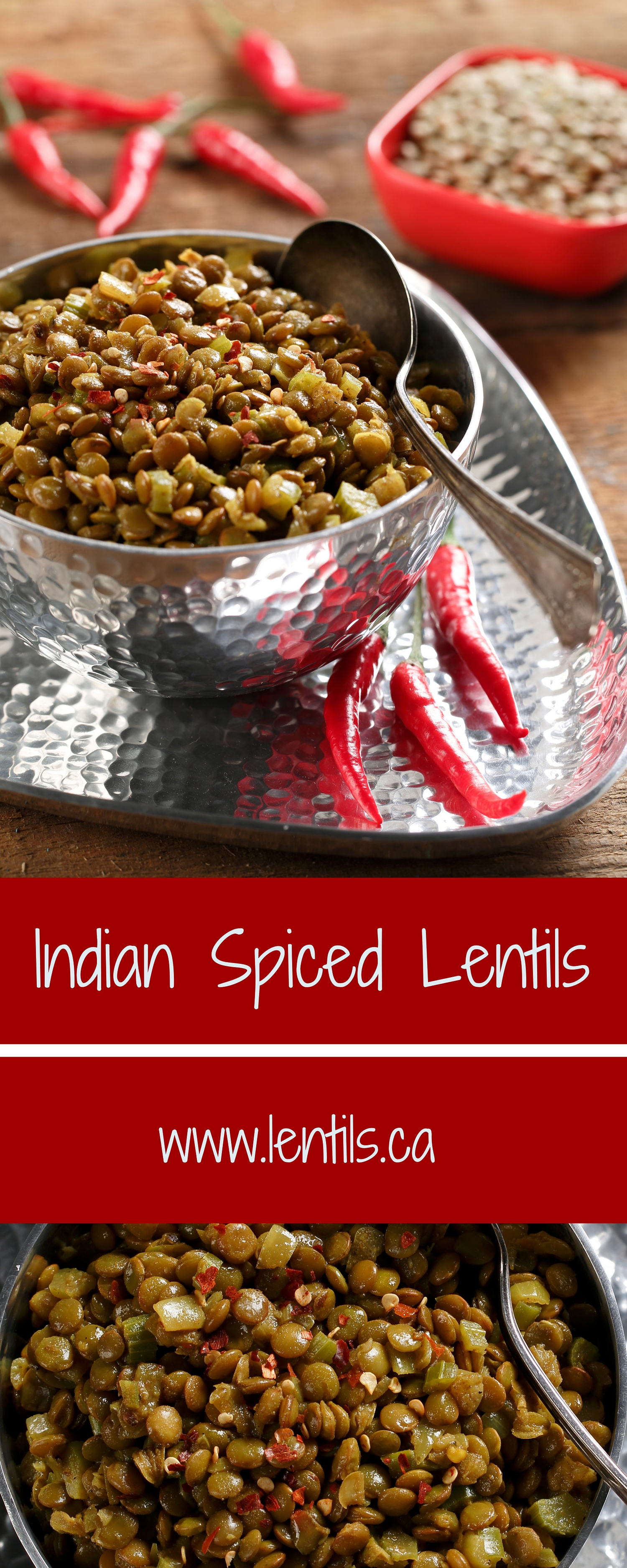 Indian Spiced Lentils – Lentils.org