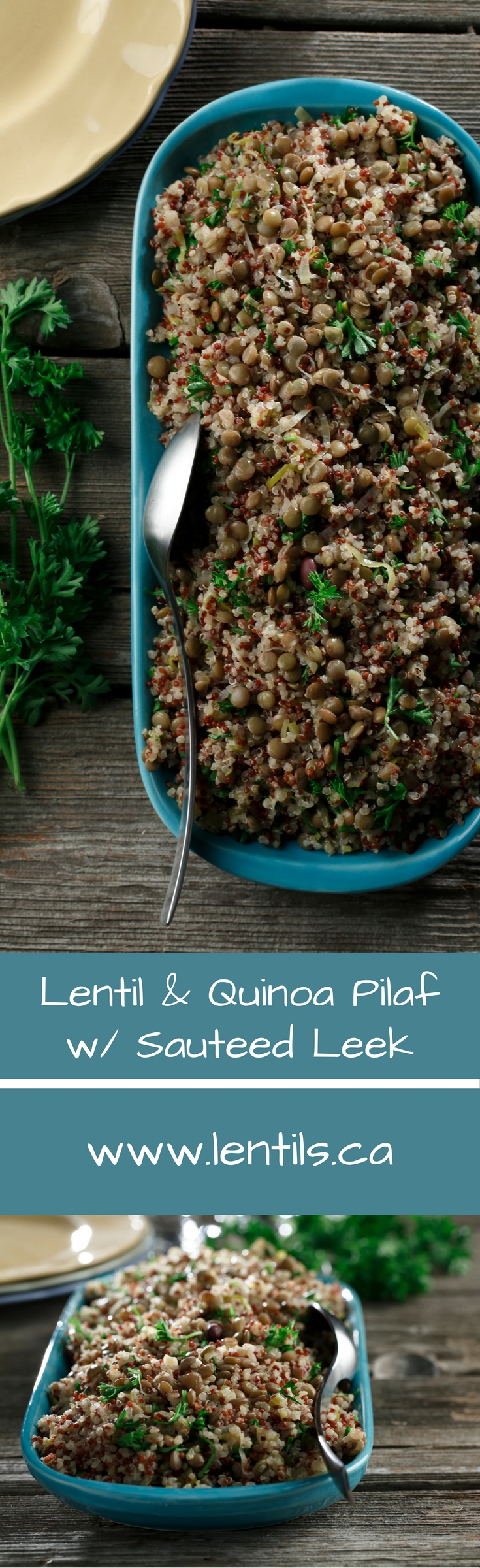 Lentil & Quinoa Pilaf with Sautéed Leek