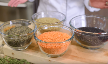 Differences in Varieties of Lentils