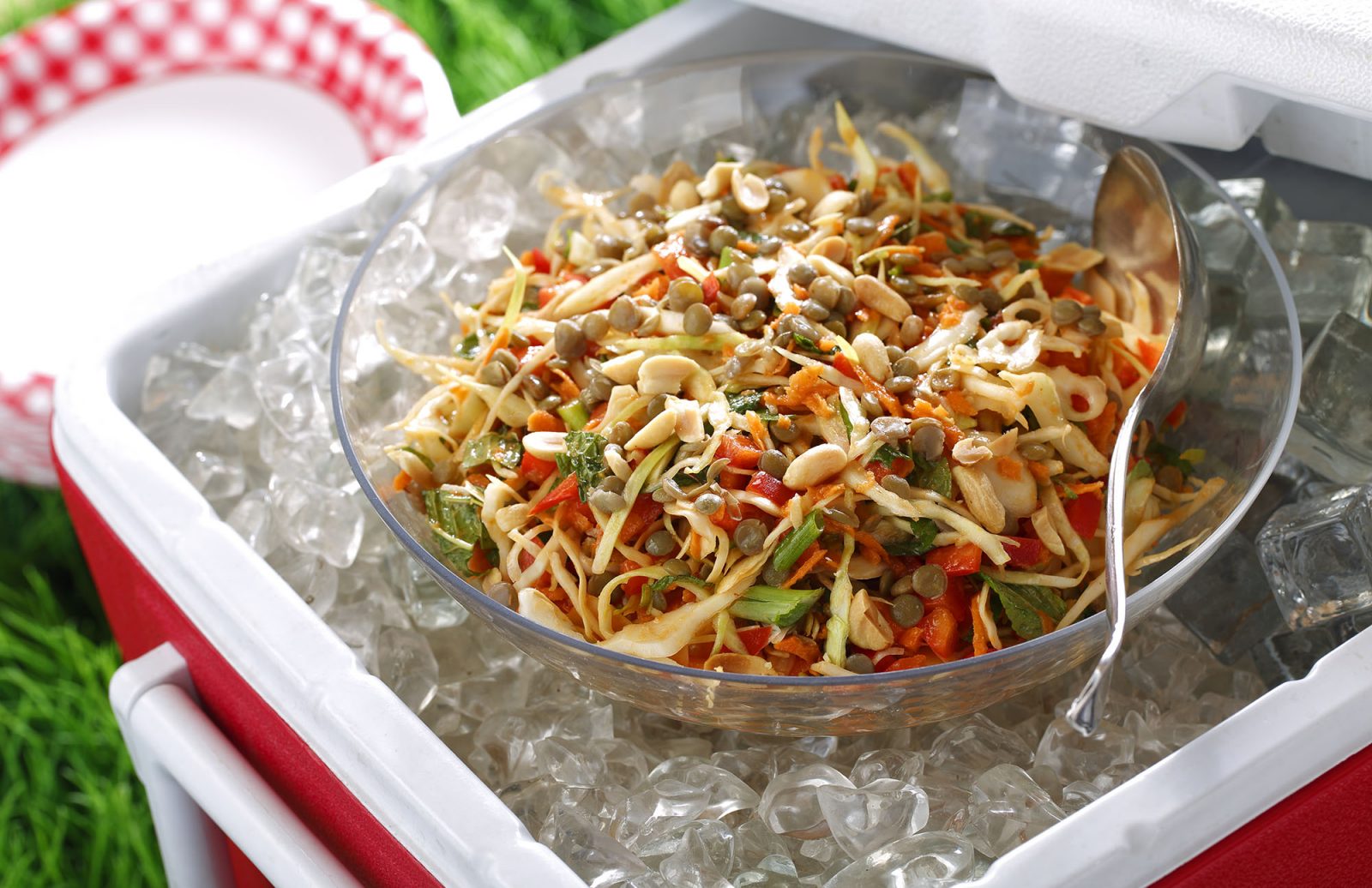 Cabbage & Lentil Slaw