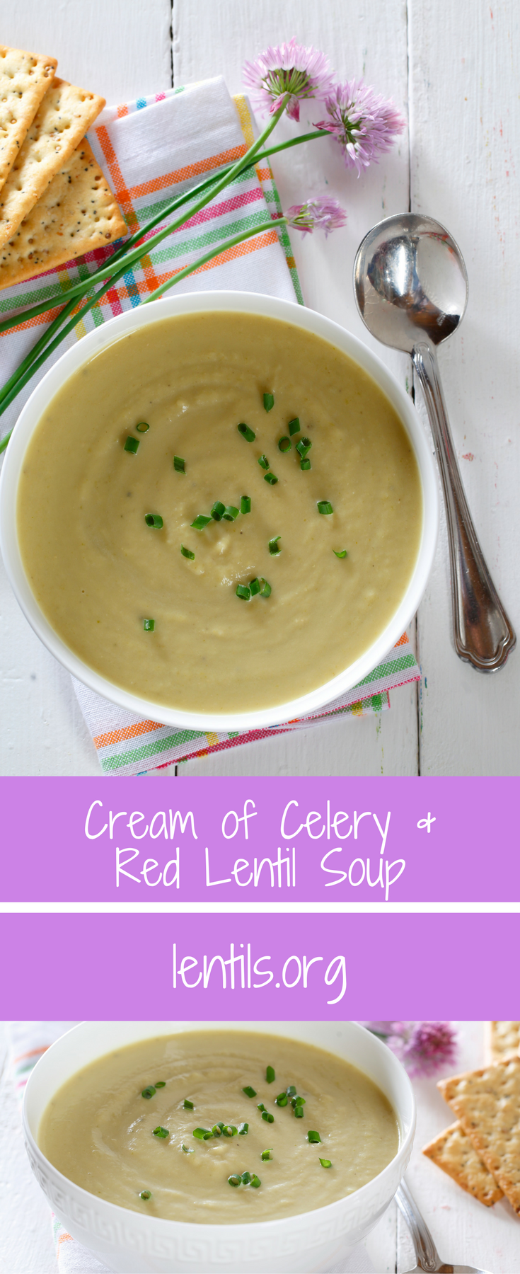 Cream of Celery & Red Lentil Soup